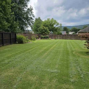 lawn care by Green Hill Landscaping reviewed on November 9, 2017