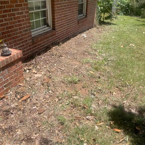 Flower Bed Weeding by God&#039;s blessing on the company reviewed on October 19, 2025