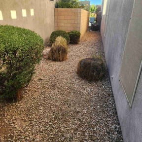 Bush Trimming by "The LawnMower Man" Lawn Care Service reviewed on August 21, 2025