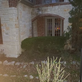 Bush Trimming by Sun's Lawn Care LLC. reviewed on August 19, 2025