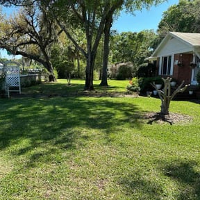 landscaping by Spring Motors reviewed on August 21, 2025