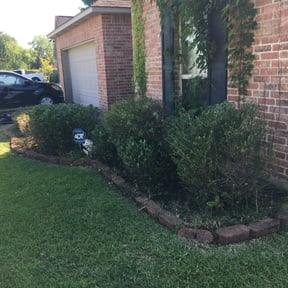 Bush Trimming by james lawn service reviewed on August 18, 2025