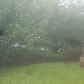 Bush Trimming by N&J Lawn Care reviewed on August 19, 2025