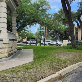 Leaf Removal by ATW Imbues reviewed on August 18, 2025