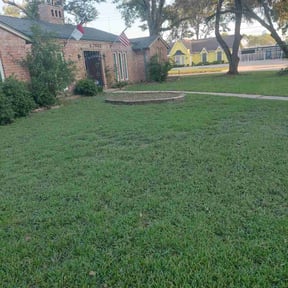 residential landscaping by Fernando&#039;s Landscaping reviewed on August 10, 2024