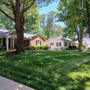 residential landscaping by Lullabee Farms reviewed on November 20, 2025