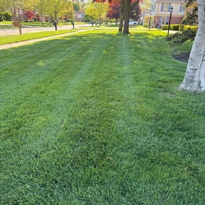 landscape maintenance by Pristine Outdoor Services llc reviewed on August 13, 2025