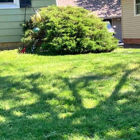 Bush Trimming by E &amp; D Lawn Care reviewed on May 22, 2026