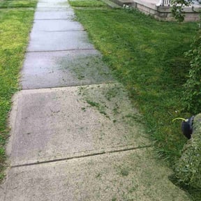 turf maintenance by Dxd lawn care reviewed on January 9, 2024