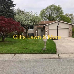 yard service by Alexis perez reviewed on May 13, 2023