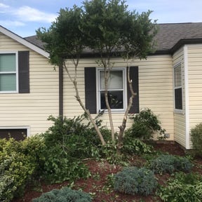Bush Trimming by Mike’s mowing and property maintenance reviewed on August 19, 2025