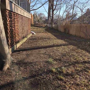 Leaf Removal by Positive Landscaping reviewed on April 27, 2026