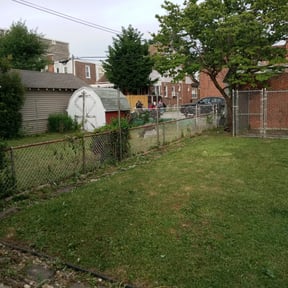 Bush Trimming by A Gaines lawncare &amp; landscaping LLC reviewed on August 17, 2025