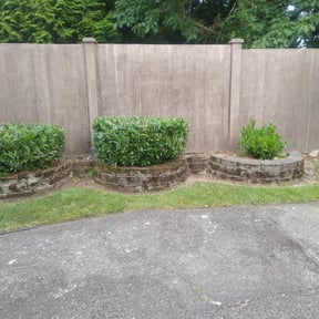 Bush Trimming by Evans landscaping and lawn service reviewed on August 20, 2025