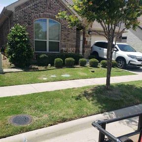 Bush Trimming by Jax lawn Services reviewed on August 17, 2025