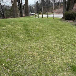 Leaf Removal by Ja-La Handyman &amp; Mower reviewed on April 15, 2026