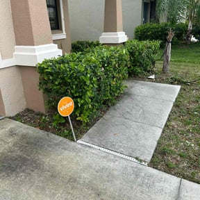 Bush Trimming by M Lawn Care & Landscape reviewed on August 21, 2025