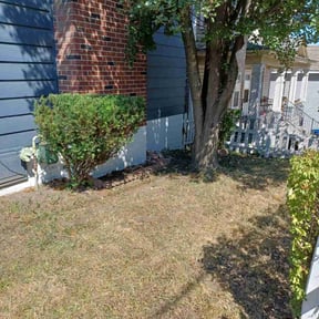 Bush Trimming by Itz Lawn service reviewed on August 20, 2025