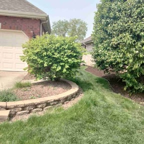 Bush Trimming by Mauler Mowing LLC reviewed on August 15, 2025
