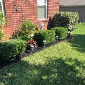 Bush Trimming by Mightyfine professional services reviewed on August 19, 2025