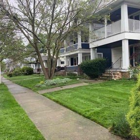 yard care by Los brothers landscaping LLC reviewed on August 18, 2025