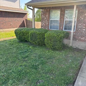 Bush Trimming by Lucio Gonzales reviewed on August 19, 2025