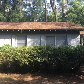 Bush Trimming by Backwood land management reviewed on August 21, 2025