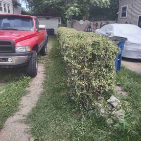 Bush Trimming by Elite Lawn Care reviewed on August 21, 2025