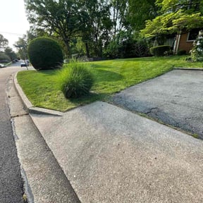 Bush Trimming by E-MACULATE LAWN  CARE LLC reviewed on August 21, 2025