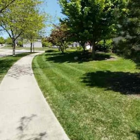 landscape maintenance by Expert Outdoor Services reviewed on August 18, 2025
