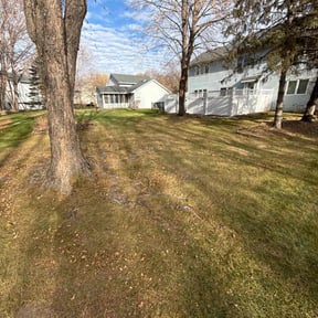 Leaf Removal by Greene Family Lawncare reviewed on November 20, 2025