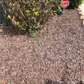 Flower Bed Weeding by Eco Landscape & Design reviewed on August 15, 2025