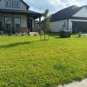 lawn care services by Olive Branch Pro Landcsaping reviewed on August 2, 2024