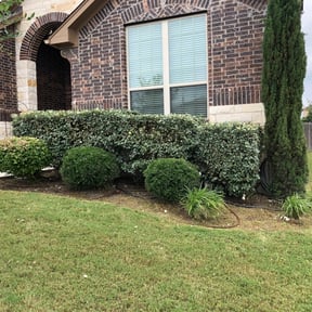 Bush Trimming by Klvyardcare reviewed on July 20, 2021