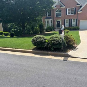 residential landscaping by Allen Young reviewed on November 22, 2025