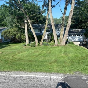 yard service by A Lawn Service reviewed on August 19, 2025