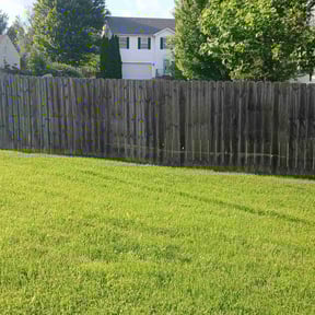 yard maintenance by Rosco's Lawncare reviewed on August 17, 2025