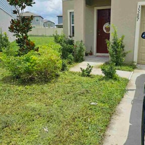 Bush Trimming by GrassMasters Lawn &amp; Landscape reviewed on November 20, 2025