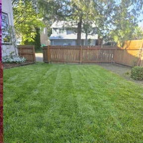 grass cutting by Perennial Specialty Gardens reviewed on May 4, 2025