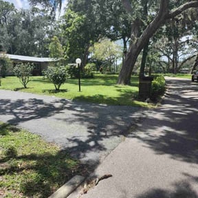 landscaping by Davino Handy Services reviewed on August 20, 2025