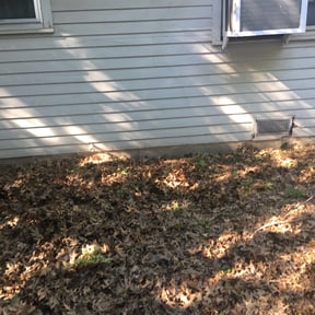 Bush Trimming by A-Z Land Care reviewed on August 15, 2025