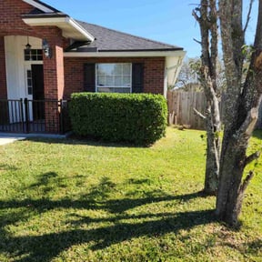 Bush Trimming by Impactt Landscaping, LLC reviewed on November 27, 2025