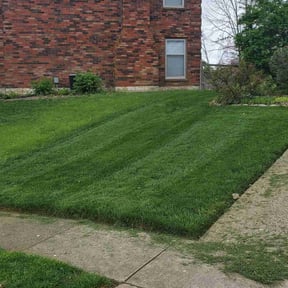 lawn care by Mobile Services reviewed on August 12, 2024