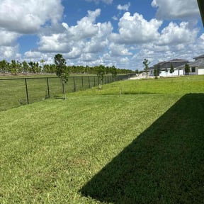lawn care by Madissons Green reviewed on May 30, 2025