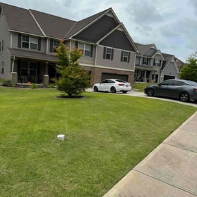 residential landscaping by Superior lawn maintenance reviewed on August 16, 2025