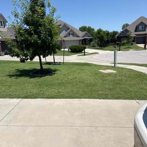 landscaping by Smith Solves Situations LLC reviewed on August 21, 2025