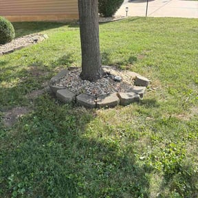 Flower Bed Weeding by The lawn goat reviewed on August 30, 2026