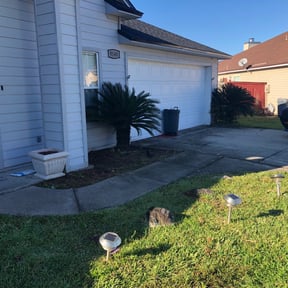 Bush Trimming by WestSide Landscaping reviewed on August 17, 2025