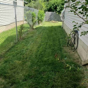 lawn care services by Curt & Son Lawn Care reviewed on April 23, 2024
