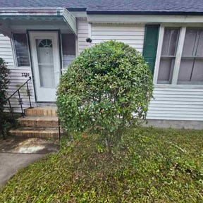 Bush Trimming by V&amp;E Landscaping and Lawn Care.... reviewed on October 23, 2025